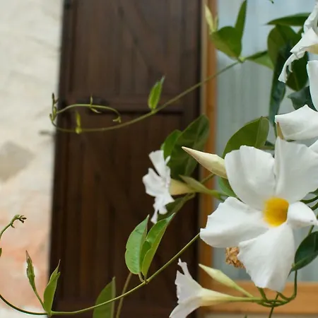 Homestay szállás Oasi Ventuno Ruvo di Puglia